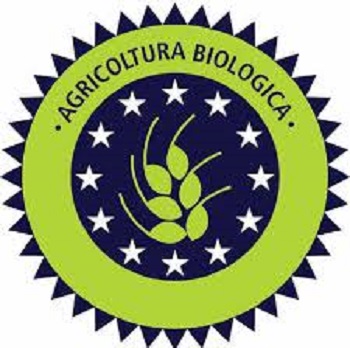 Logo Bio Green Style