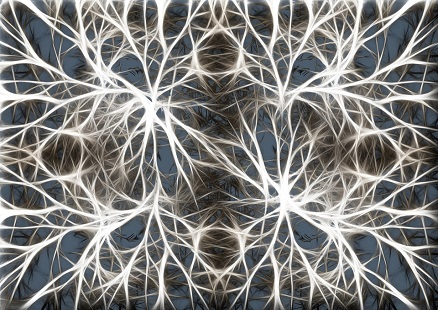 Neuroni-Integratori