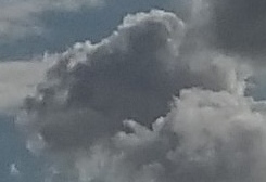 IMG_20191205_205833