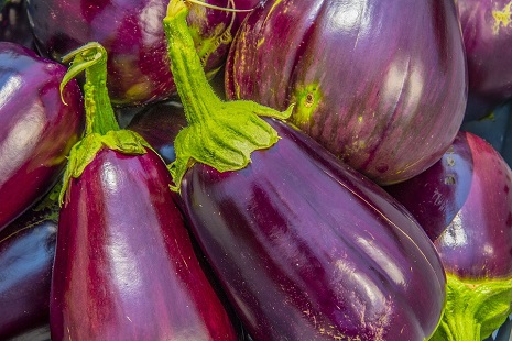 Melanzana-eggplant-3712005_960_720 (1)