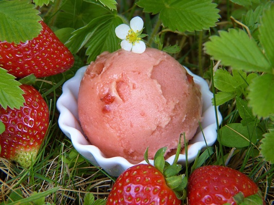 Green Style-gelato a fragola-strawberry-ice-cream-2239407_960_720